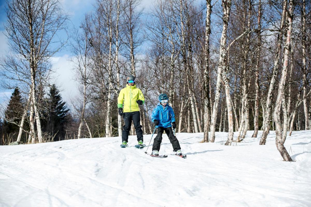 Koeja Fjaellhotell Edsasdalen Bagian luar foto