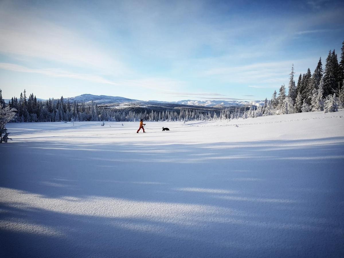 Koeja Fjaellhotell Edsasdalen Bagian luar foto