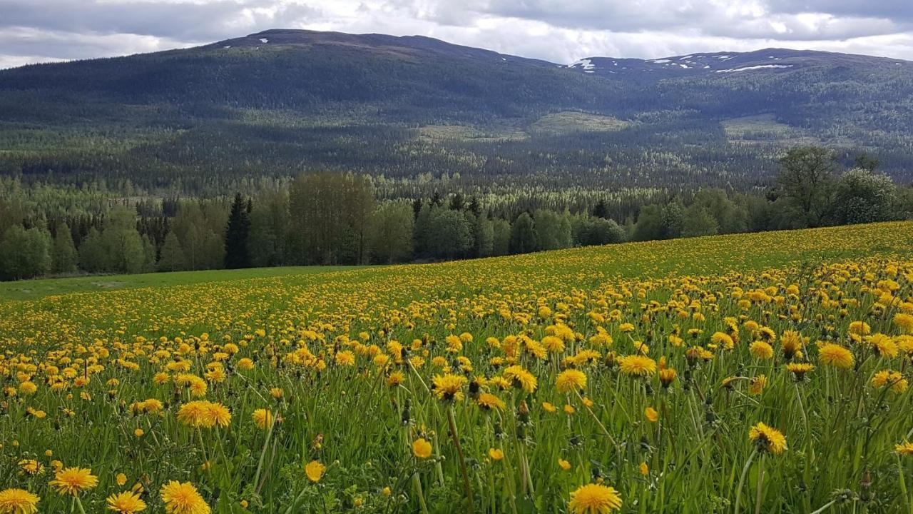 Koeja Fjaellhotell Edsasdalen Bagian luar foto