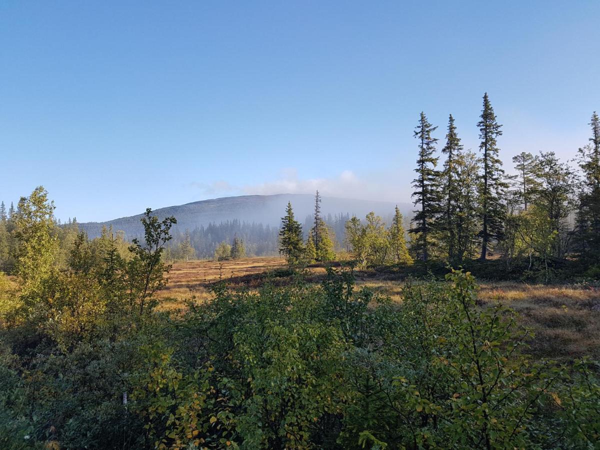 Koeja Fjaellhotell Edsasdalen Bagian luar foto