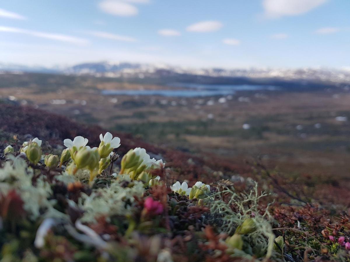 Koeja Fjaellhotell Edsasdalen Bagian luar foto