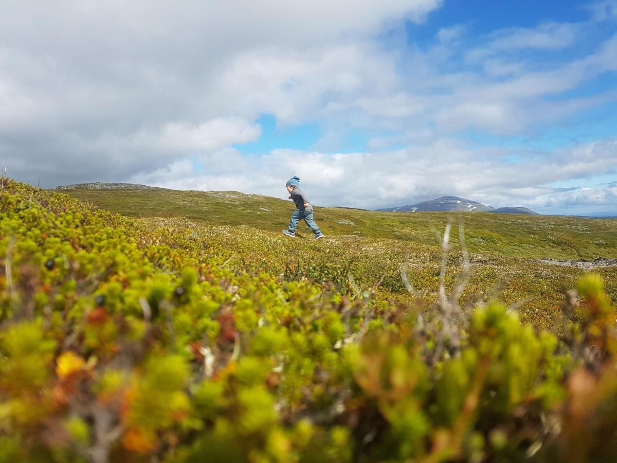 Koeja Fjaellhotell Edsasdalen Bagian luar foto